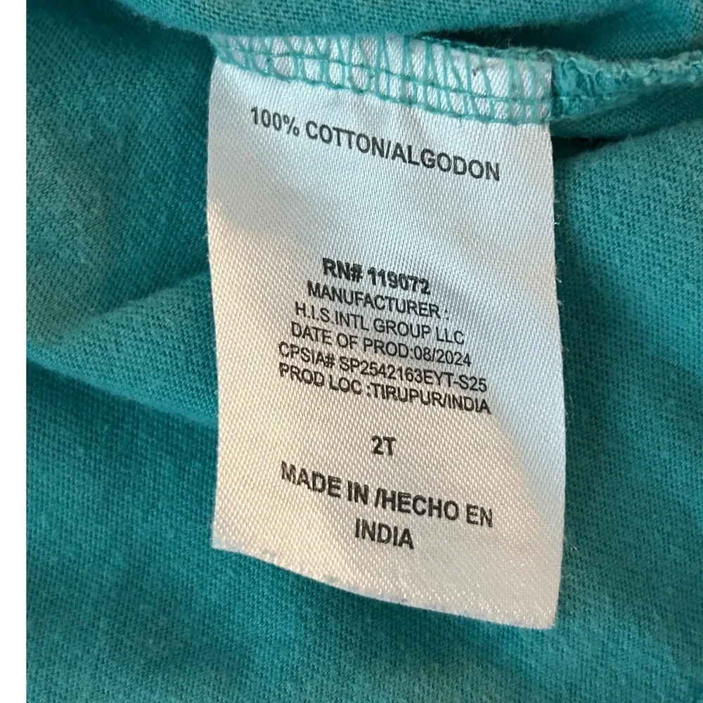 Bluey Lets Play Toddler T-Shirt Teal Green 100% Cotton Size 2T 1350